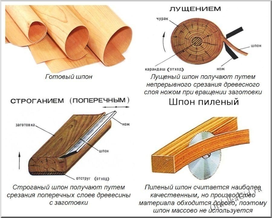 Лущеный шпон получают из древесины