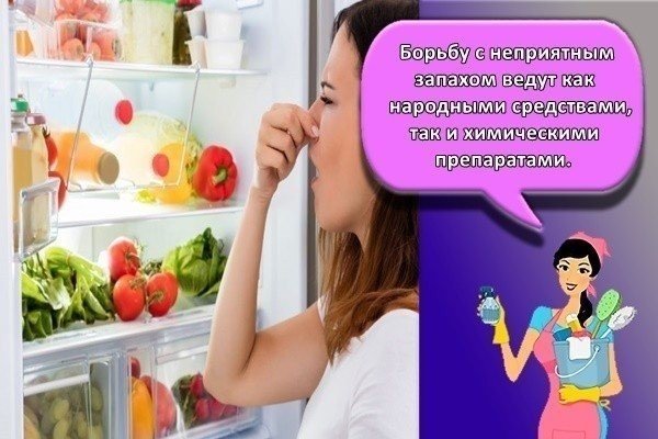 Сообщение на тему запах из холодильника