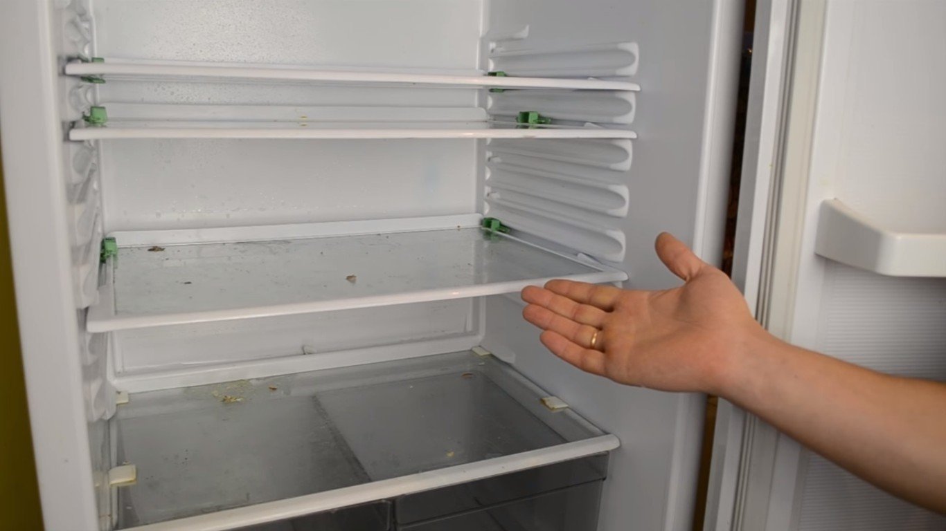 Плесень в холодильнике