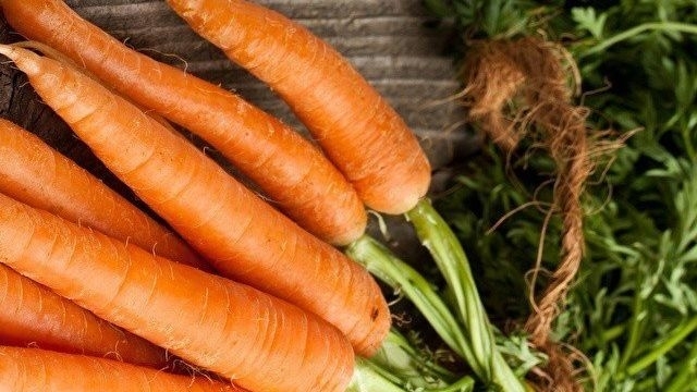 Как необходимо хранить морковь зимой?