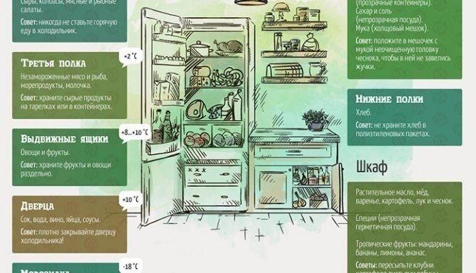 Правила хранения продуктов в холодильнике