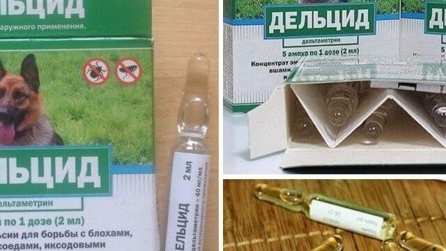 Дельцид в ампулах для обработки квартиры от блох