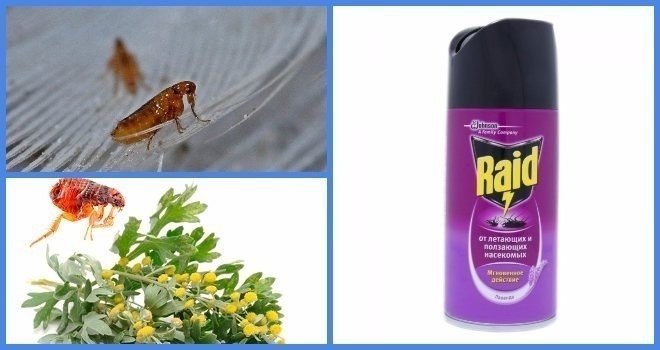 Аэрозоль raid от ползающих и летающих насекомых с запахом лаванды