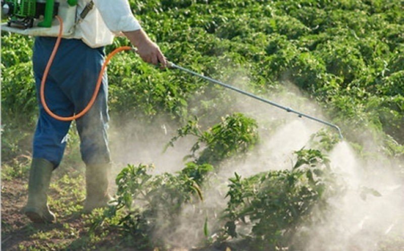 Удобрения пестициды гербициды инсектициды